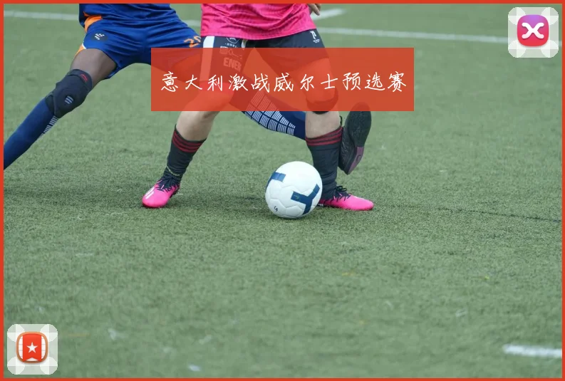 意大利激战威尔士预选赛