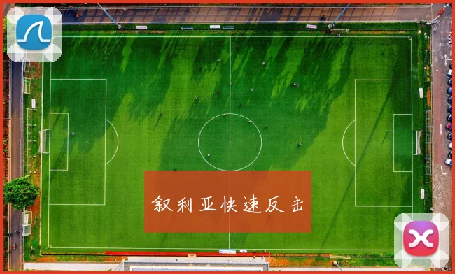 叙利亚快速反击