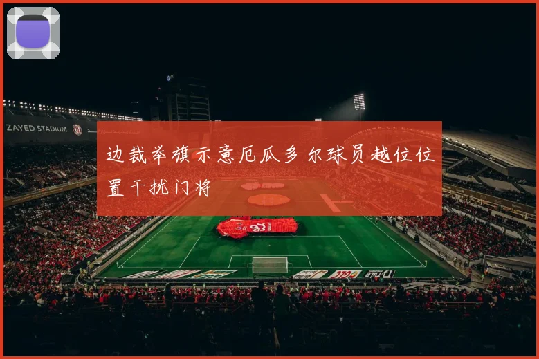 边裁举旗示意厄瓜多尔球员越位位置干扰门将