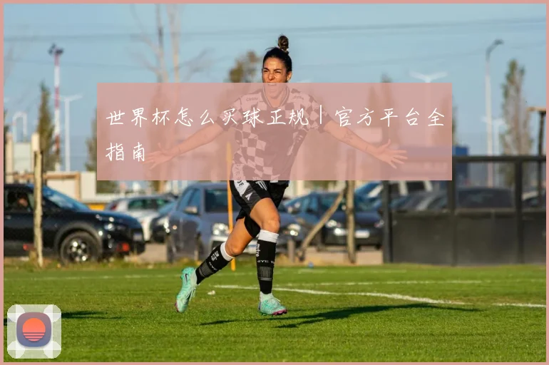 世界杯怎么买球正规｜官方平台全指南