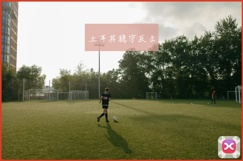 土耳其稳守反击