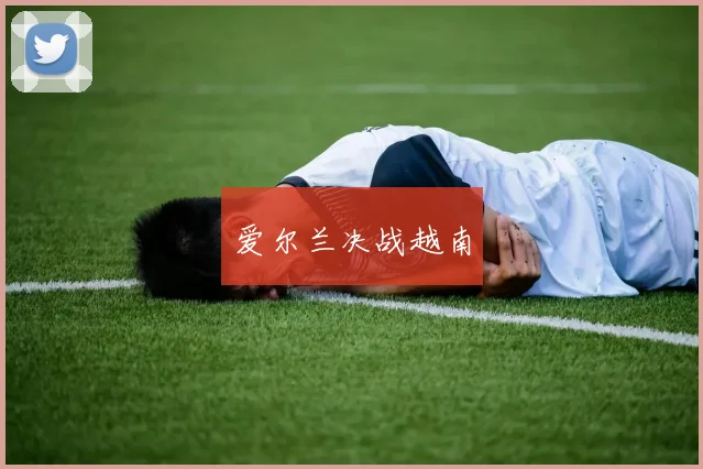 爱尔兰决战越南