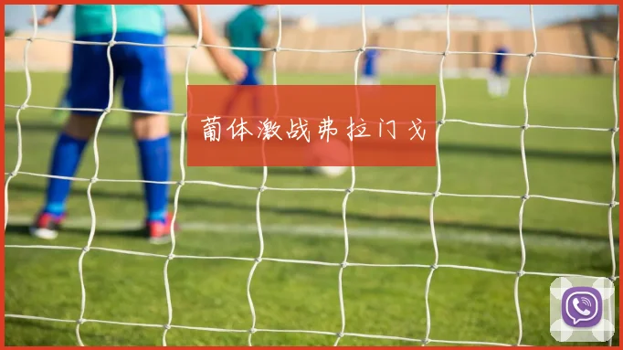 葡体激战弗拉门戈