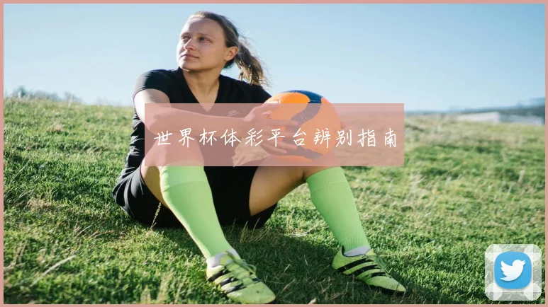世界杯体彩平台辨别指南