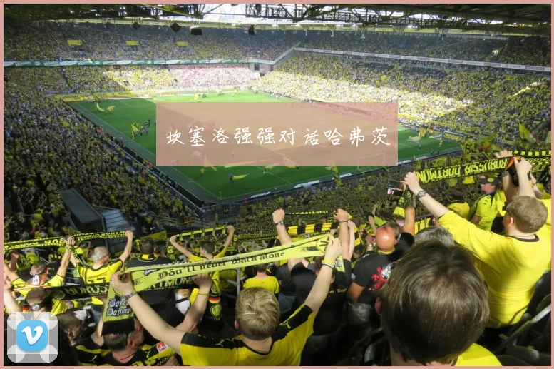 坎塞洛强强对话哈弗茨