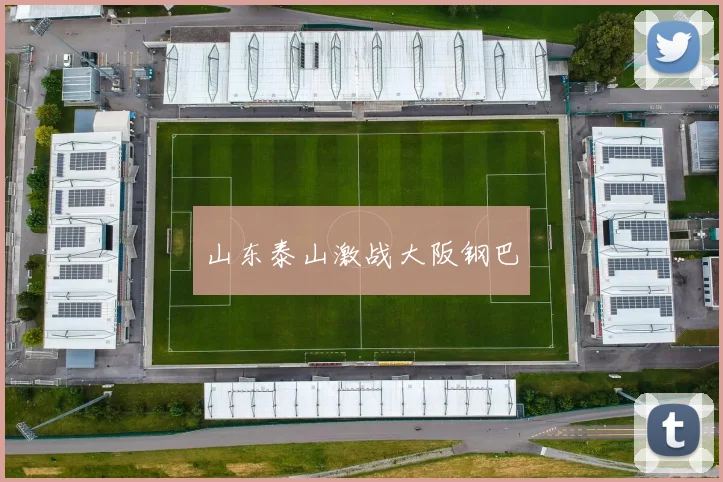山东泰山激战大阪钢巴
