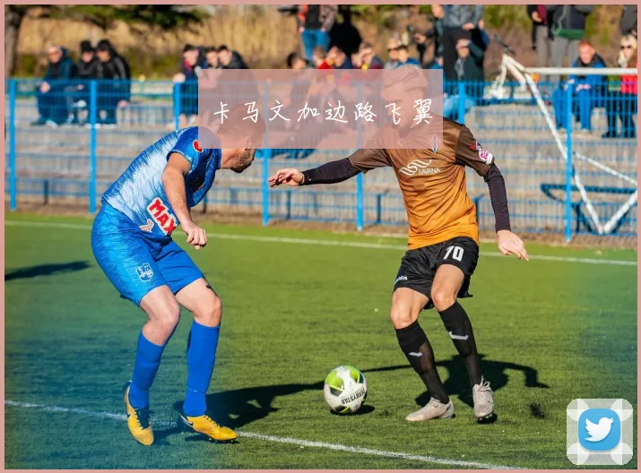 卡马文加边路飞翼