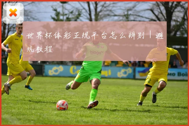 世界杯体彩正规平台怎么辨别｜避坑教程