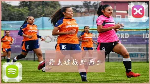 丹麦迎战新西兰