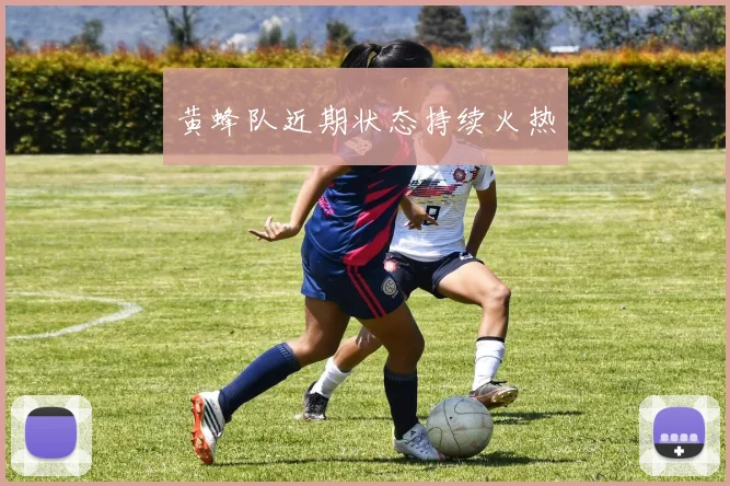 黄蜂队近期状态持续火热