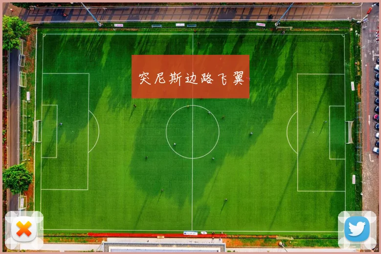 突尼斯边路飞翼