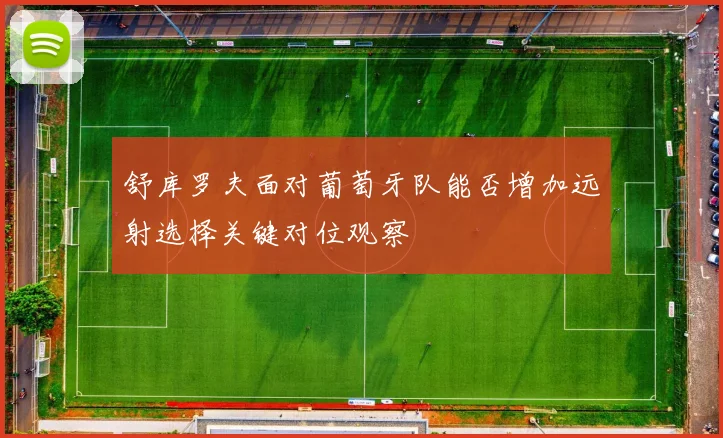 舒库罗夫面对葡萄牙队能否增加远射选择关键对位观察